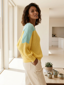 Women Color Block V‑Neck Knit Sweater, Loose Lantern Long Sleeve Casual Pullover Top ZMZ0482H7YZH