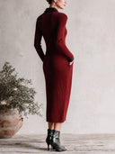 Women's Ribbed Knit Polo Collar Midi Dress With Contrast Trim ZMZ0939I2YZH