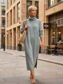 Women's Turtleneck Long Sleeve Ribbed Knit Midi Sweater Dress ZMZ0884I4YZH